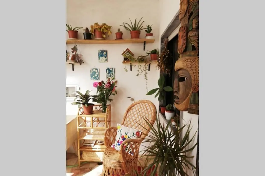 Bamboo House Aljezur Apartment Portugal